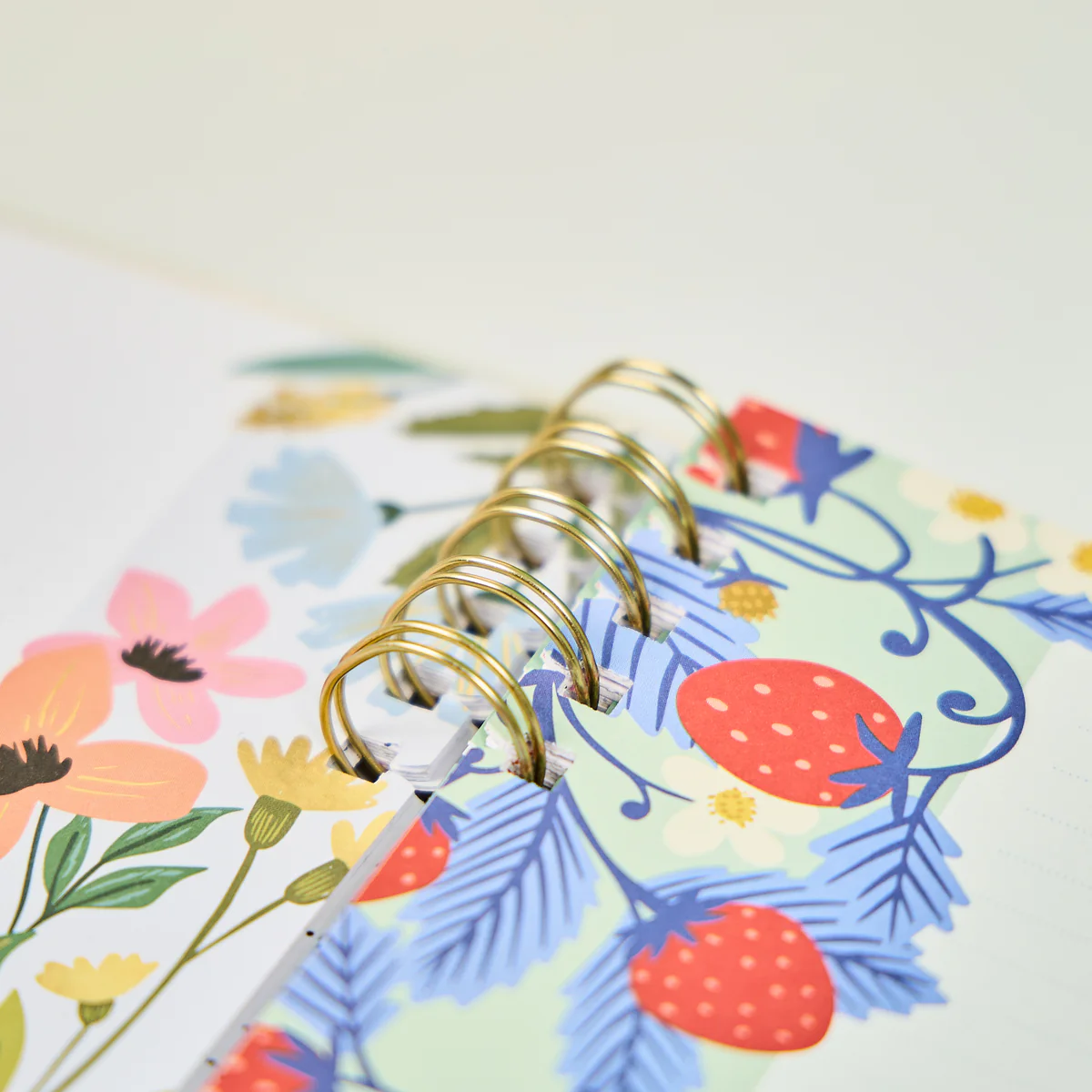 Teaching Seasons - Dotted Lined + Dot Grid Customizable Spiral Big Filler Paper - 40 Sheets 4 Teaching Seasons - Dotted Lined + Dot Grid Customizable Spiral Big Filler Paper - 40 Sheets