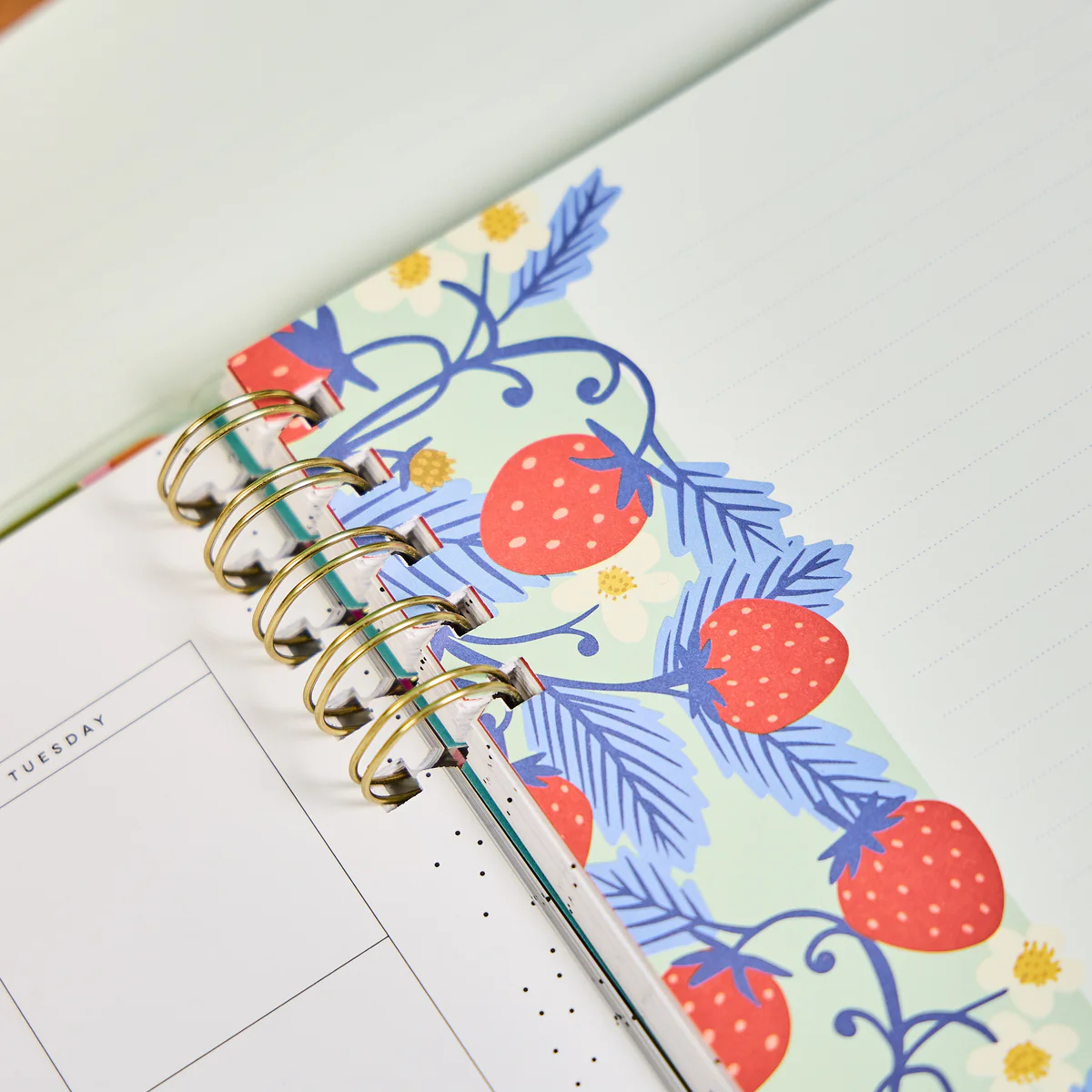 Teaching Seasons - Dotted Lined + Dot Grid Customizable Spiral Big Filler Paper - 40 Sheets 5 Teaching Seasons - Dotted Lined + Dot Grid Customizable Spiral Big Filler Paper - 40 Sheets