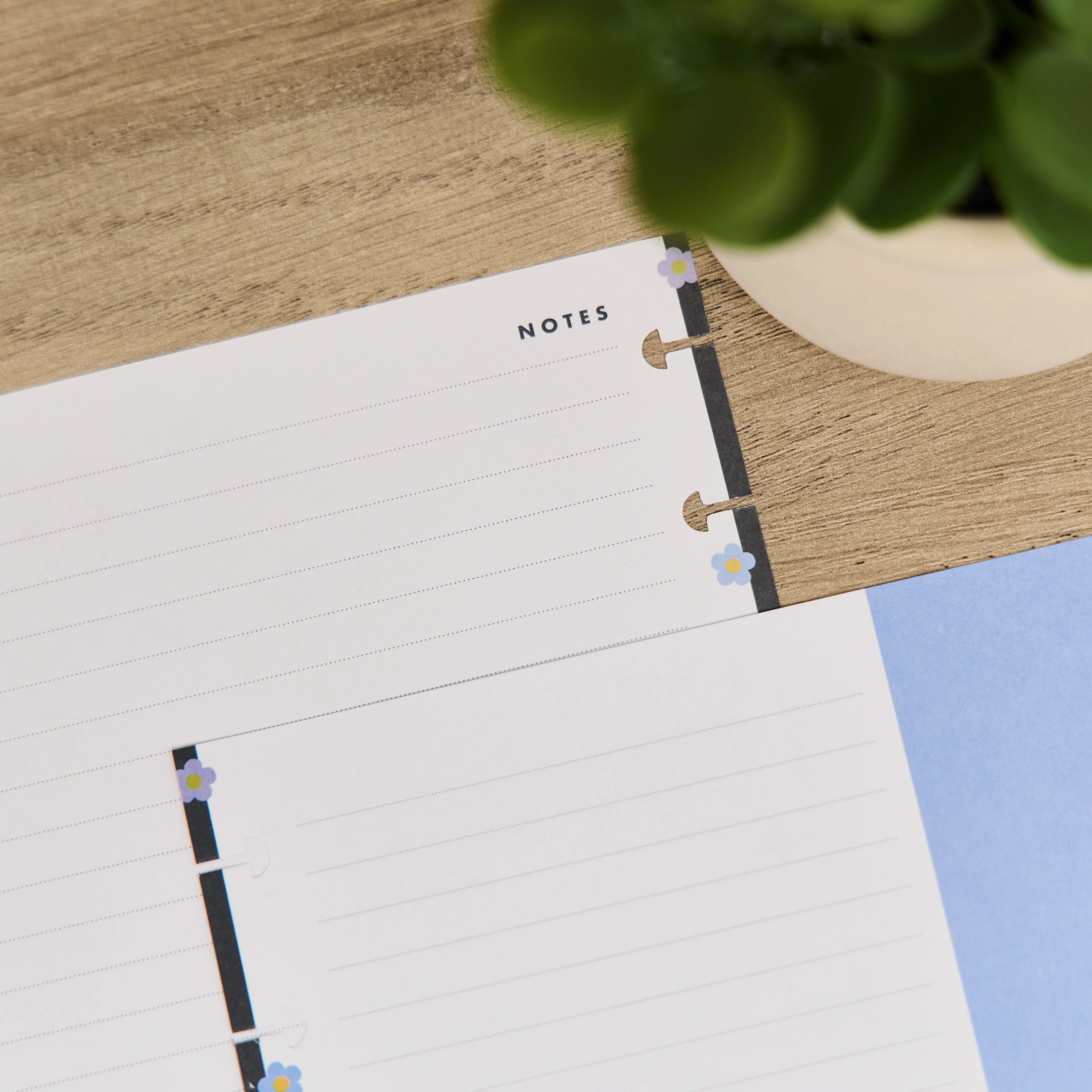Bright Energy - Dotted Lined Classic Filler Paper - 40 Sheets 5 Bright Energy - Dotted Lined Classic Filler Paper - 40 Sheets