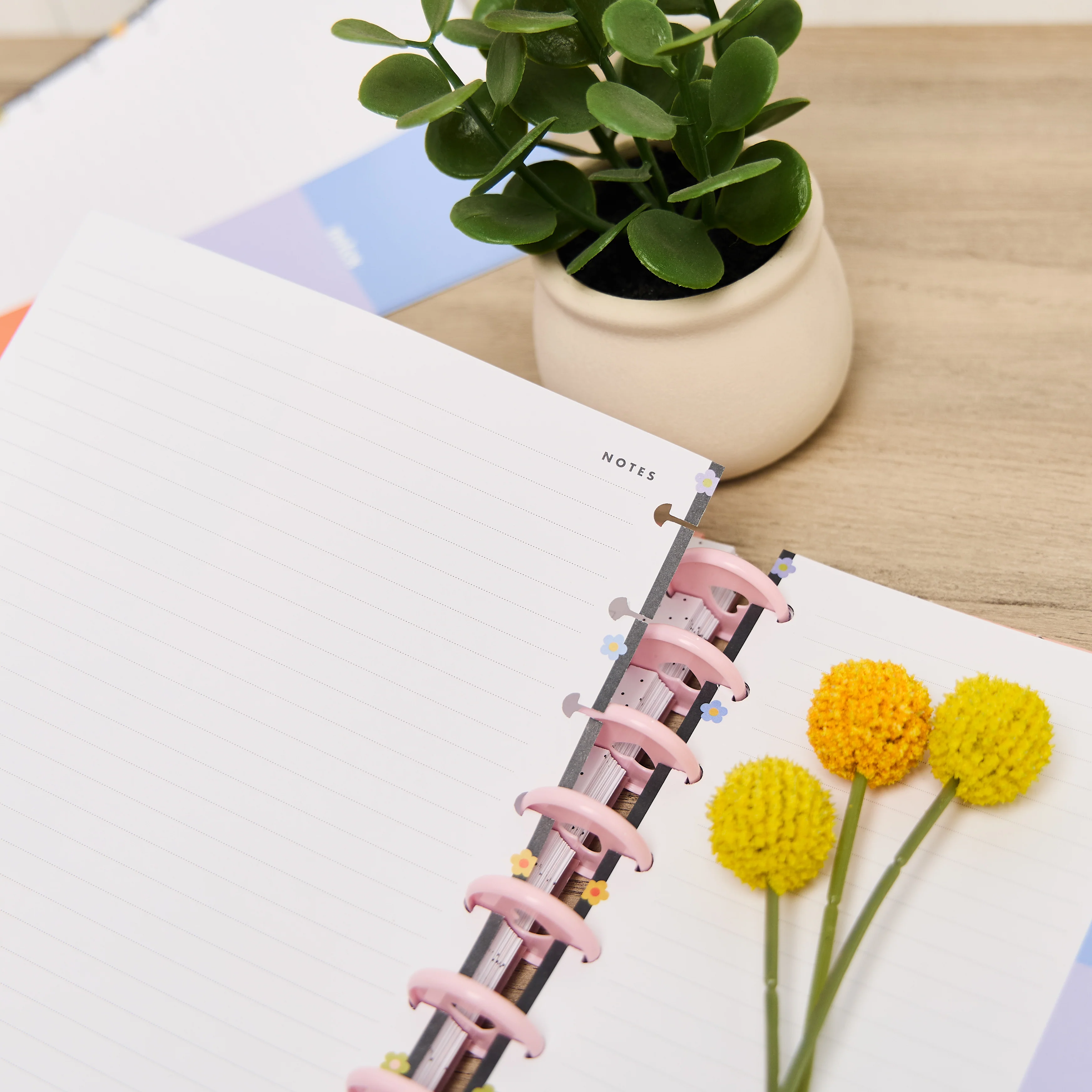 Bright Energy - Dotted Lined Classic Filler Paper - 40 Sheets 6 Bright Energy - Dotted Lined Classic Filler Paper - 40 Sheets