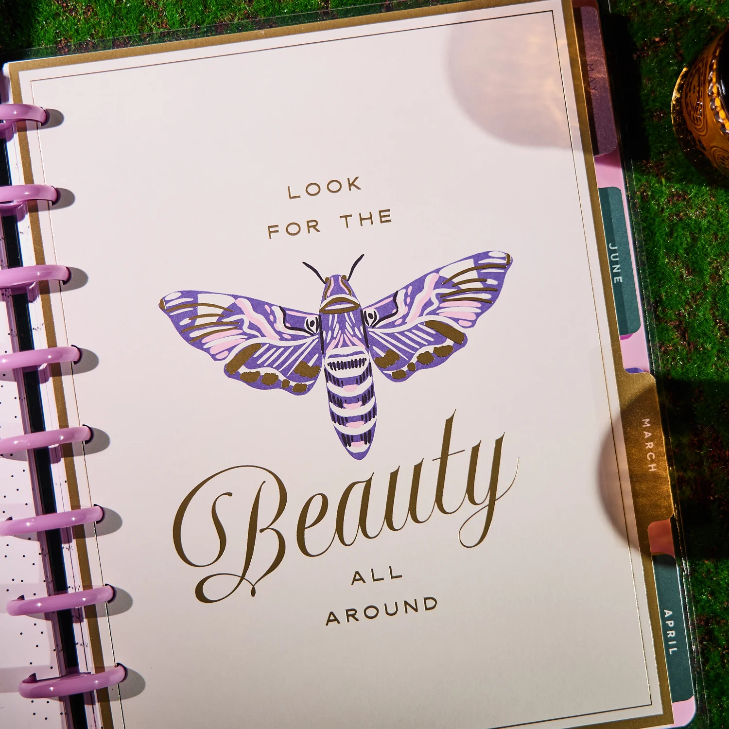2026 Butterfly Botanics Customizable Planner - Classic Color Block Layout - 12 Months