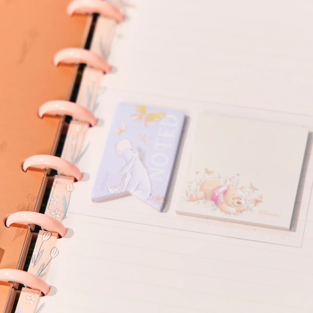 Disney Winnie the Pooh Seasonal - Classic Accessory Pack 12 Disney Winnie the Pooh Seasonal - Classic Accessory Pack