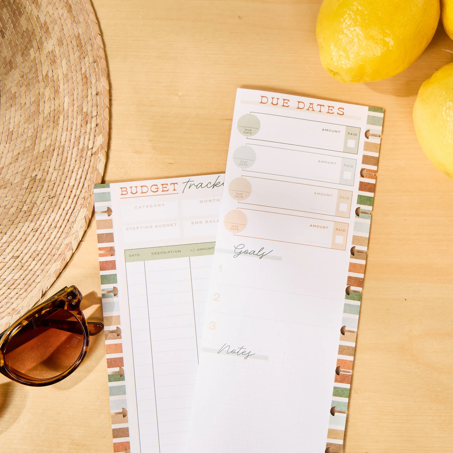 Sage & Terracotta Budget - Budget Classic Filler Paper - 40 Sheets 10 Sage & Terracotta Budget - Budget Classic Filler Paper - 40 Sheets