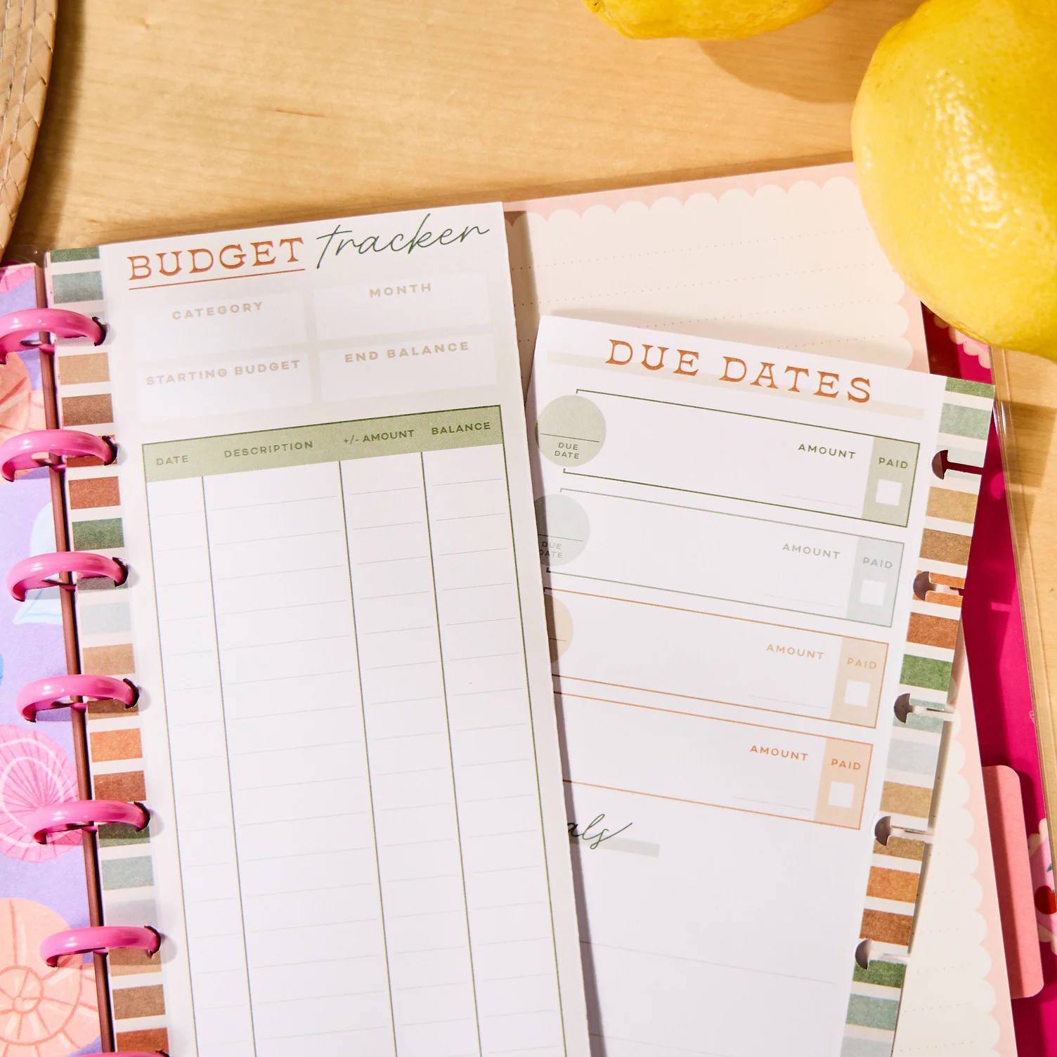 Sage & Terracotta Budget - Budget Classic Filler Paper - 40 Sheets 2 Sage & Terracotta Budget - Budget Classic Filler Paper - 40 Sheets