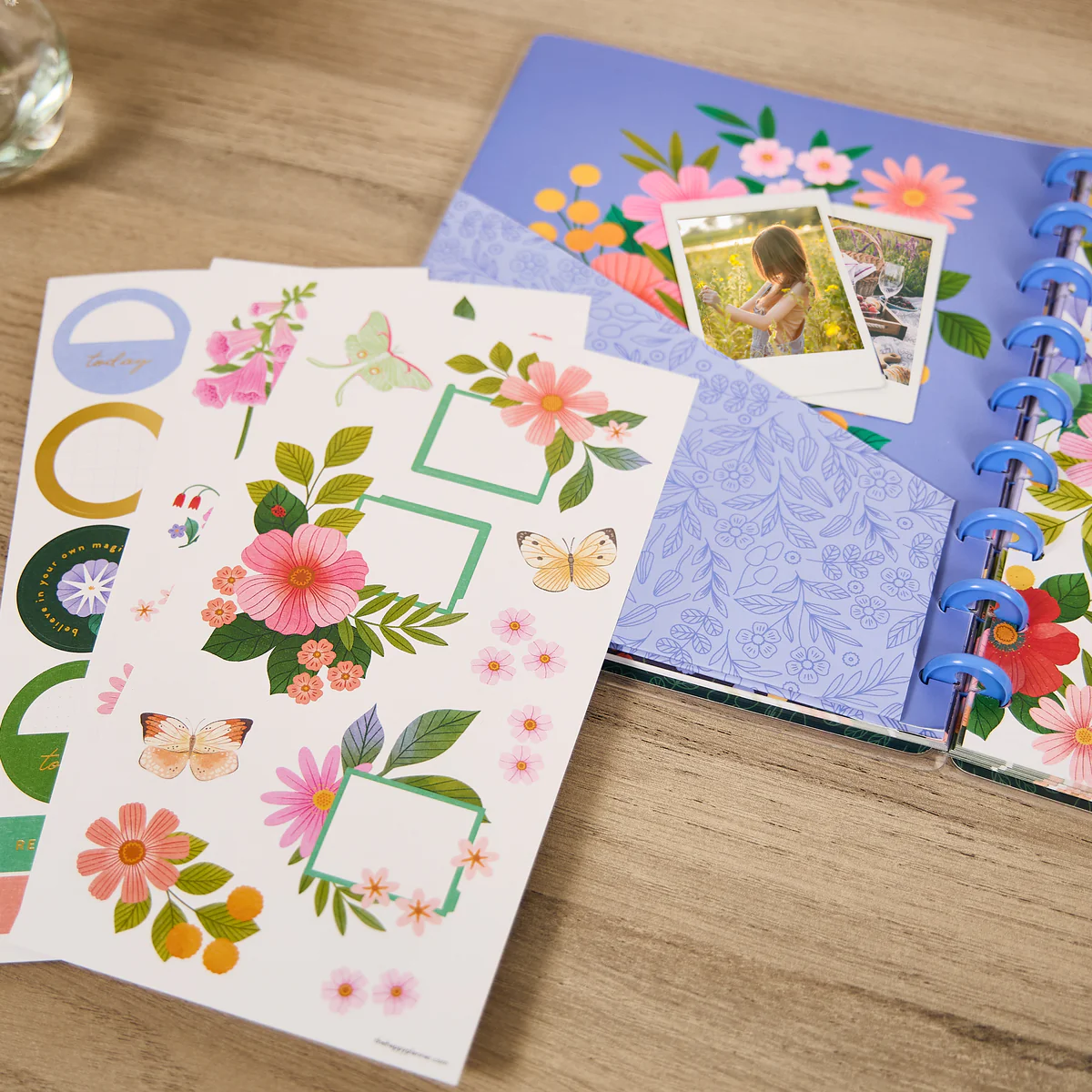 Midnight Meadow - Classic Accessory Pack 3 Midnight Meadow - Classic Accessory Pack