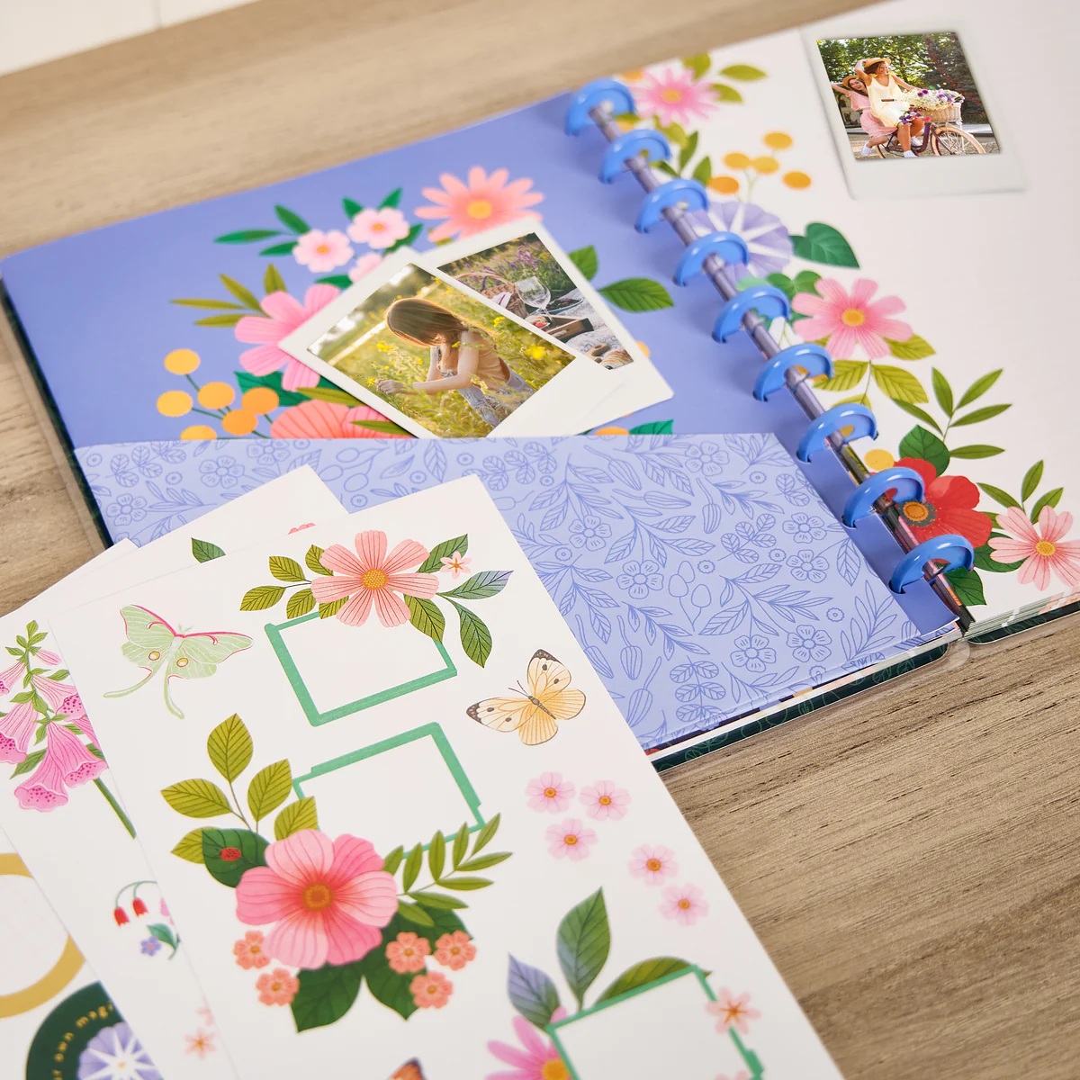 Midnight Meadow - Classic Accessory Pack 9 Midnight Meadow - Classic Accessory Pack