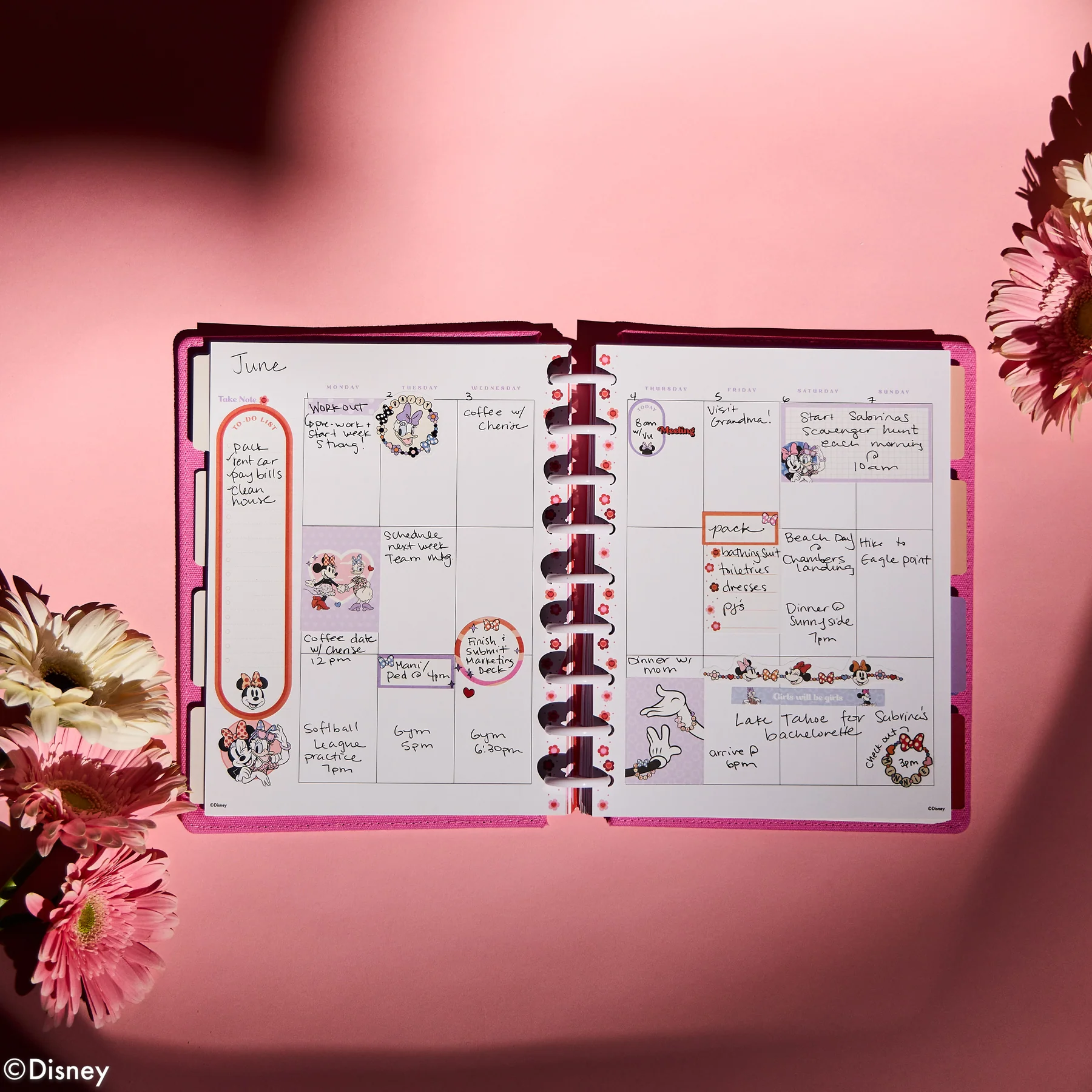 Undated SPECIALTY Disney Minnie Mouse Bow Happy Customizable Planner - Classic Vertical Layout - 12 Months 7 Undated SPECIALTY Disney Minnie Mouse Bow Happy Customizable Planner - Classic Vertical Layout - 12 Months