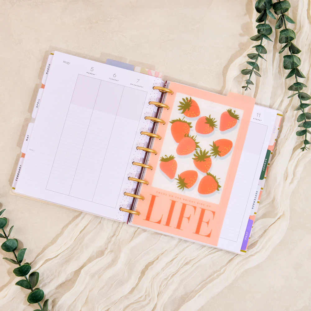 Spring Market - Classic Dashboard - 3 Pack