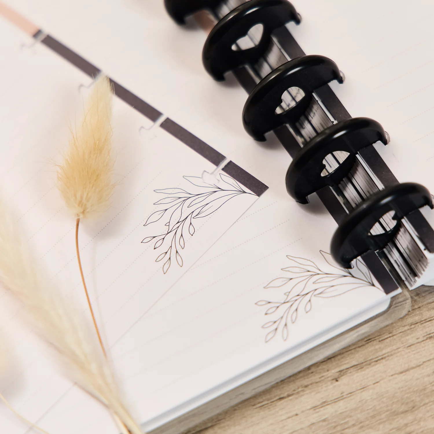 Modern Charm - Dotted Lined Big Filler Paper - 40 Sheets 5 Modern Charm - Dotted Lined Big Filler Paper - 40 Sheets