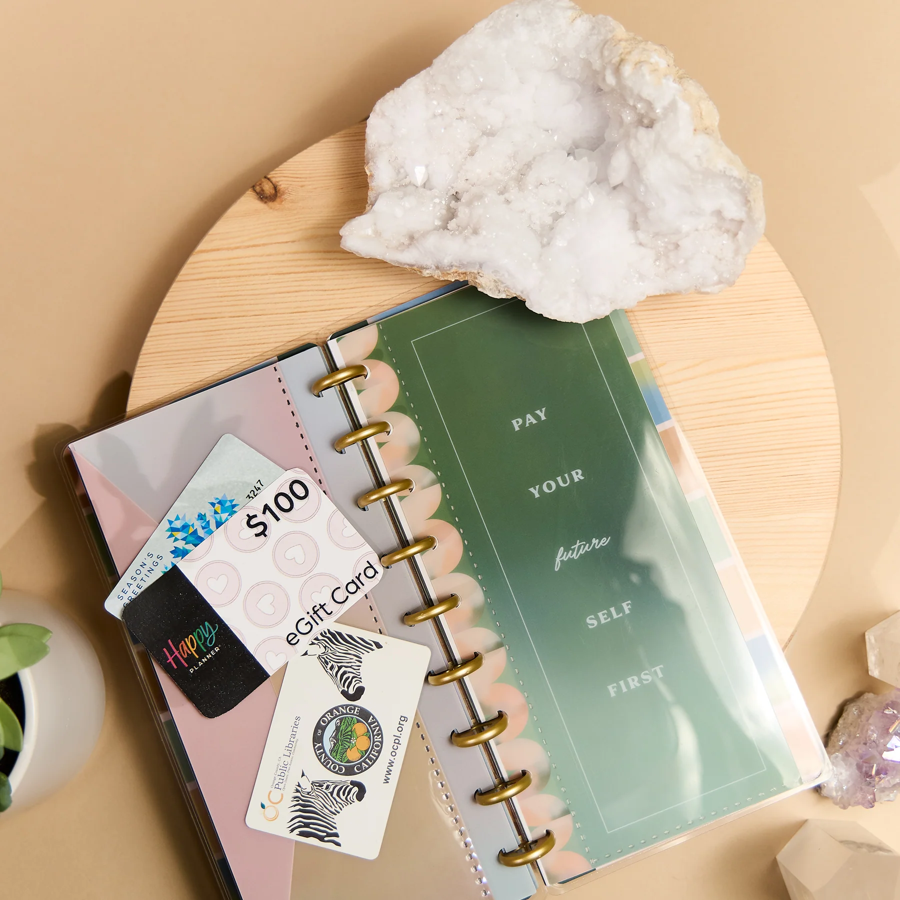 Savvy Budgeter - Skinny Classic Budget Tracker Bundle 10 Savvy Budgeter - Skinny Classic Budget Tracker Bundle