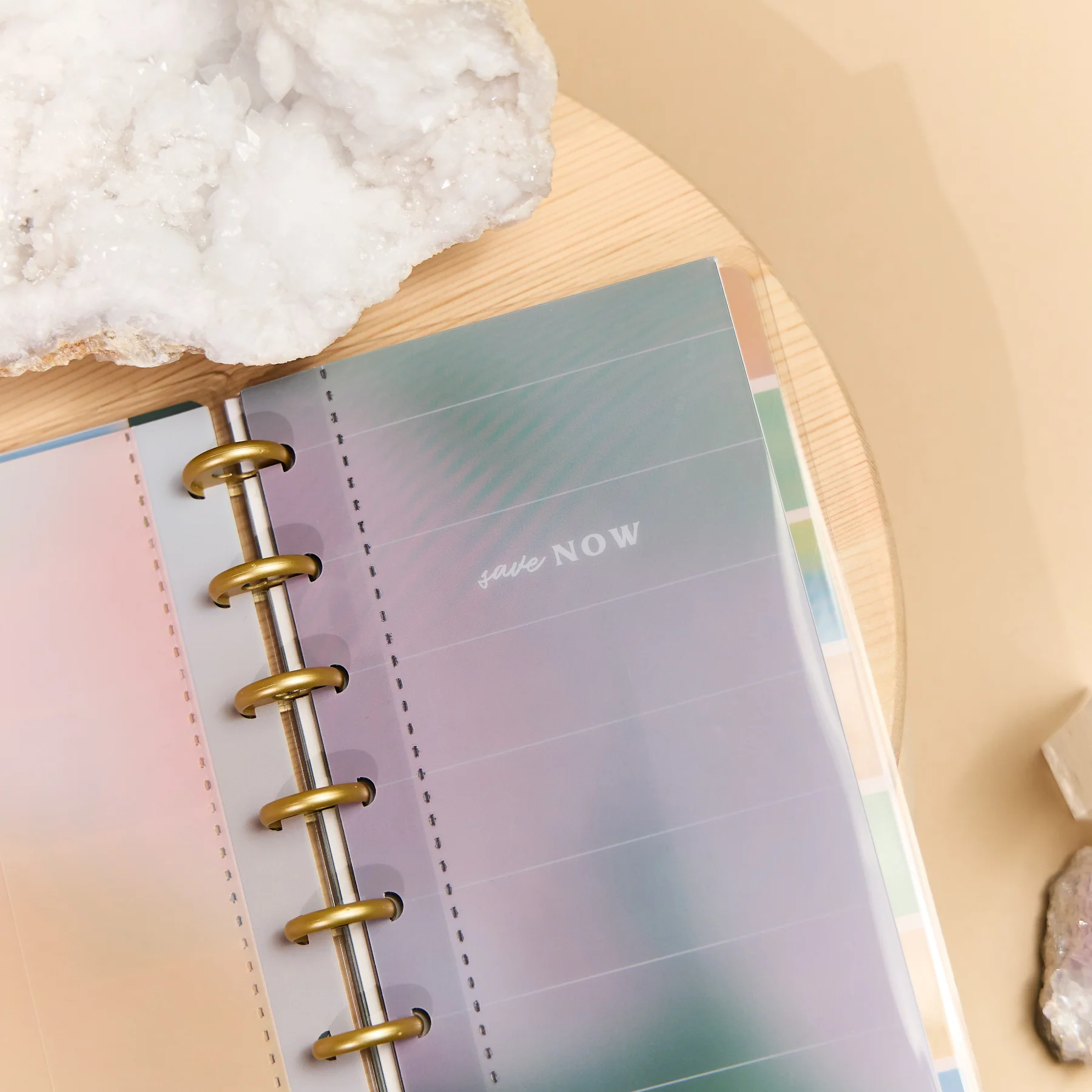 Savvy Budgeter - Skinny Classic Budget Tracker Bundle 11 Savvy Budgeter - Skinny Classic Budget Tracker Bundle