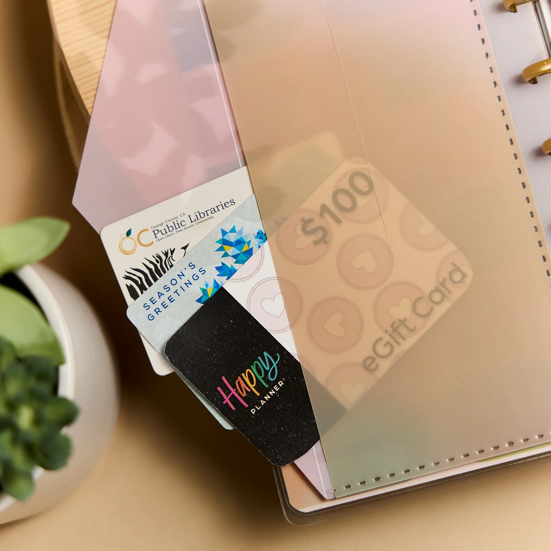 Savvy Budgeter - Skinny Classic Budget Tracker Bundle 2 Savvy Budgeter - Skinny Classic Budget Tracker Bundle