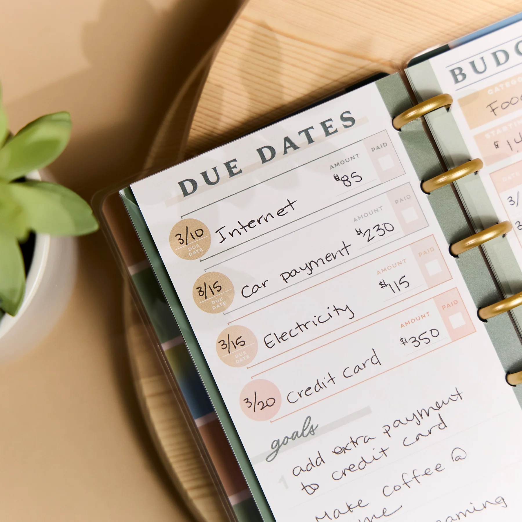 Savvy Budgeter - Skinny Classic Budget Tracker Bundle 7 Savvy Budgeter - Skinny Classic Budget Tracker Bundle