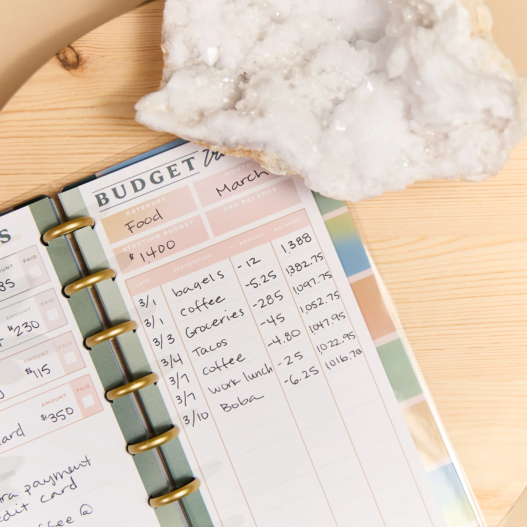 Savvy Budgeter - Skinny Classic Budget Tracker Bundle 8 Savvy Budgeter - Skinny Classic Budget Tracker Bundle