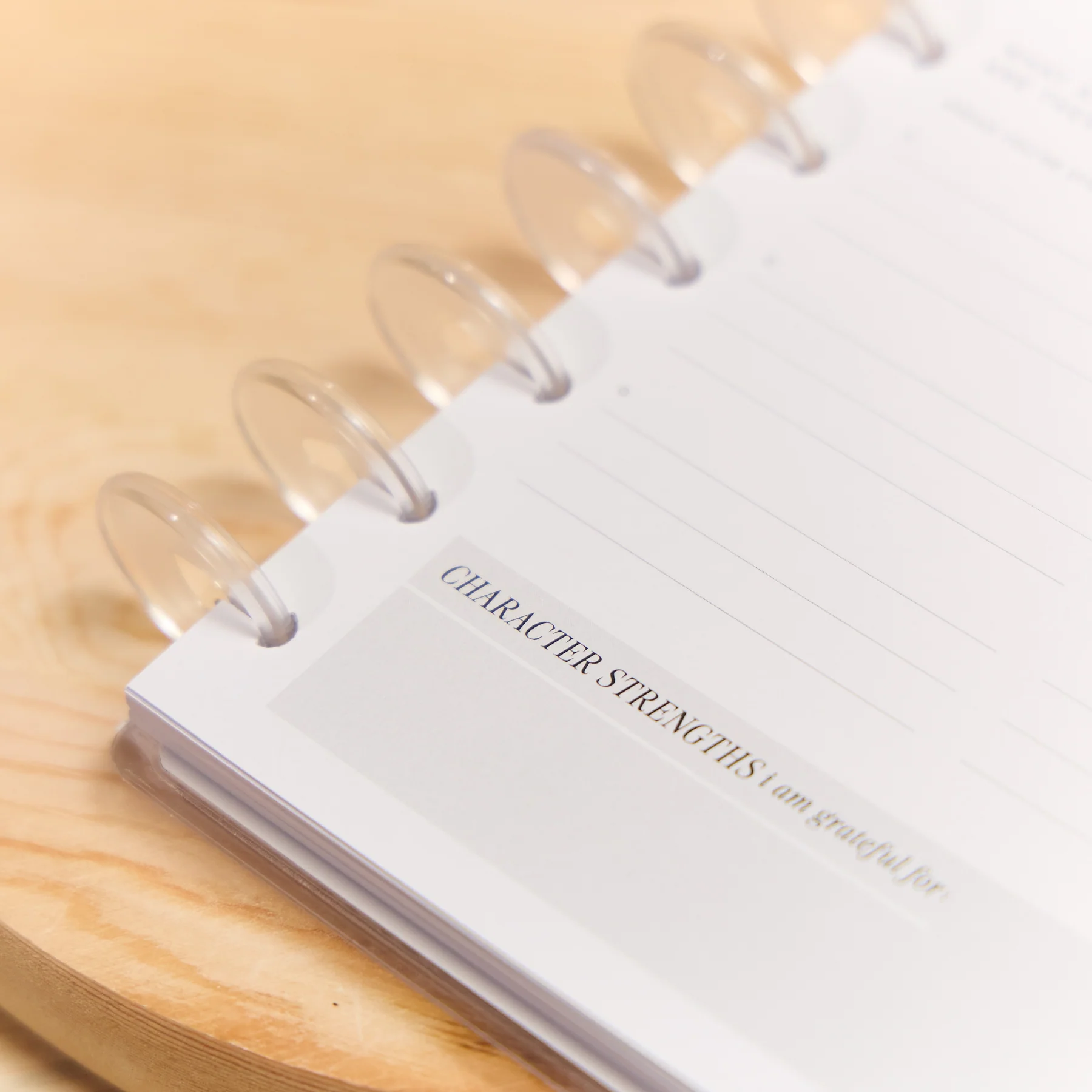 Manifest - Classic Guided Manifestation Journal - 80 Sheets 7 Manifest - Classic Guided Manifestation Journal - 80 Sheets