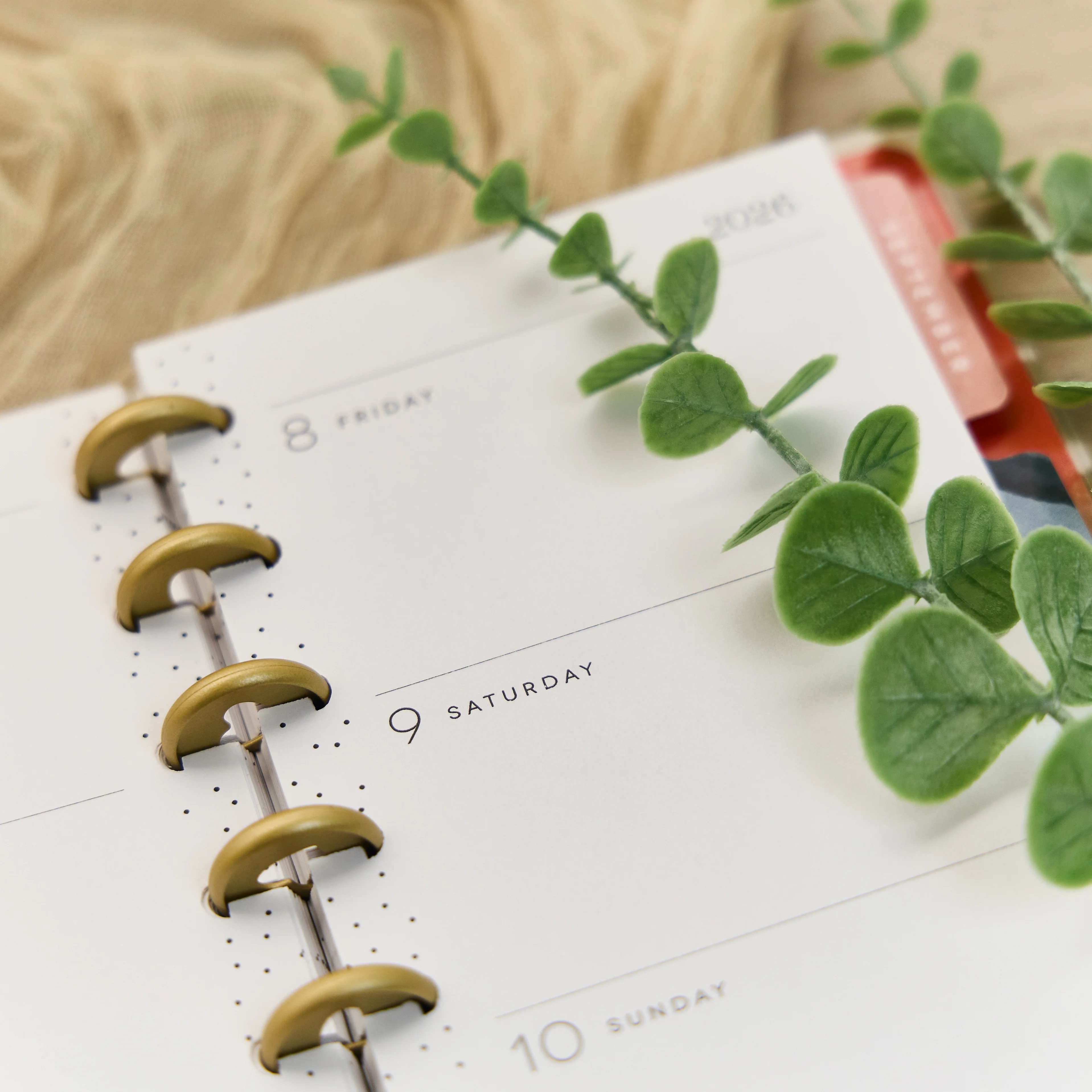2026 Watercolor Grace Customizable Faith Planner - Skinny Classic Horizontal Layout - 12 Months 11 2026 Watercolor Grace Customizable Faith Planner - Skinny Classic Horizontal Layout - 12 Months