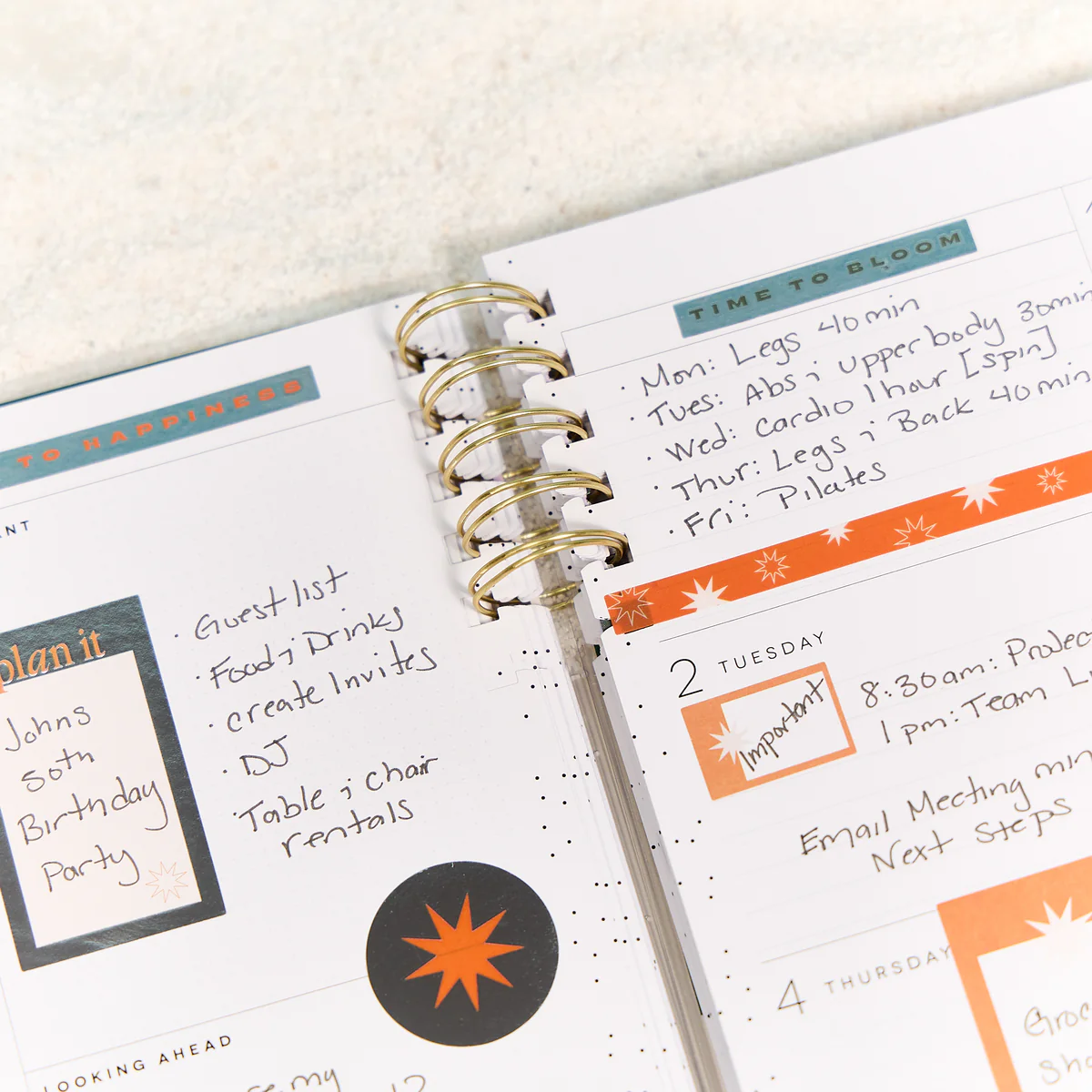 2025–2026 Soft Pop Customizable Spiral Planner - Big Dashboard Layout - 12 Months