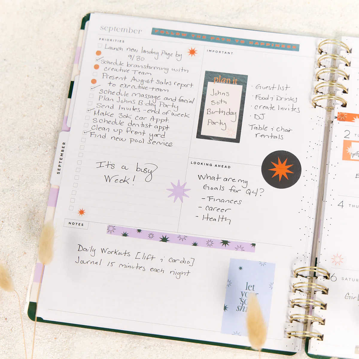 2025–2026 Soft Pop Customizable Spiral Planner - Big Dashboard Layout - 12 Months 6 2025–2026 Soft Pop Customizable Spiral Planner - Big Dashboard Layout - 12 Months