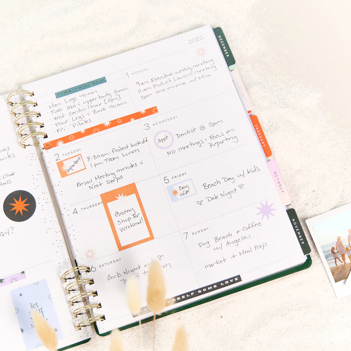 2025–2026 Soft Pop Customizable Spiral Planner - Big Dashboard Layout - 12 Months 7 2025–2026 Soft Pop Customizable Spiral Planner - Big Dashboard Layout - 12 Months