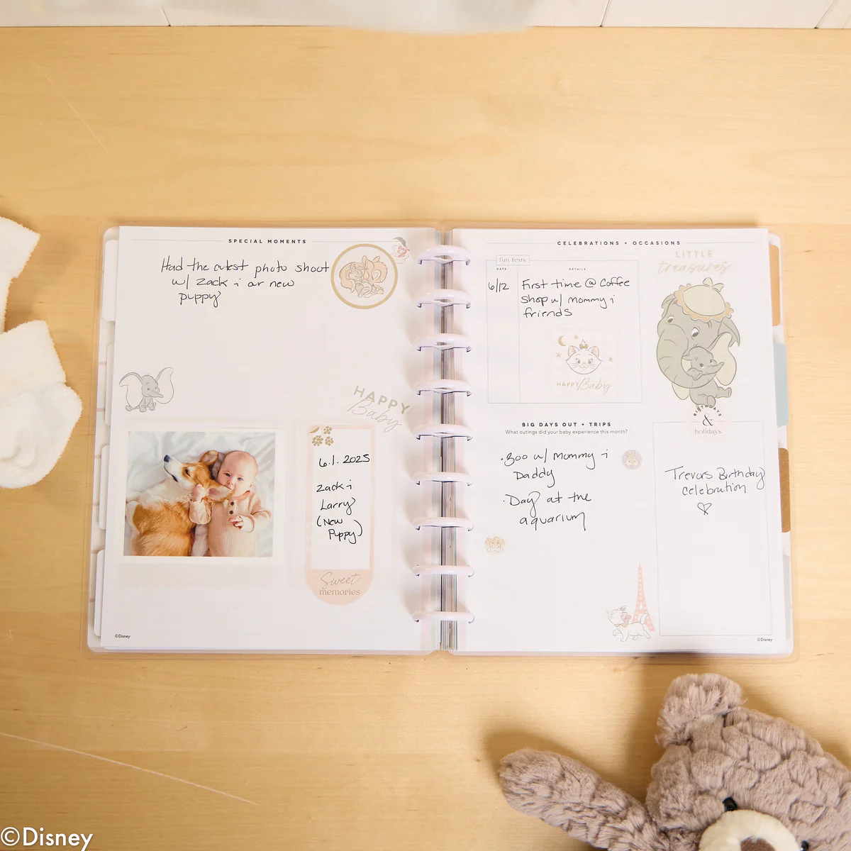 Undated Disney Welcome Little One Customizable Baby Planner - Classic Baby's First Year Layout - 12 Months 9 Undated Disney Welcome Little One Customizable Baby Planner - Classic Baby's First Year Layout - 12 Months