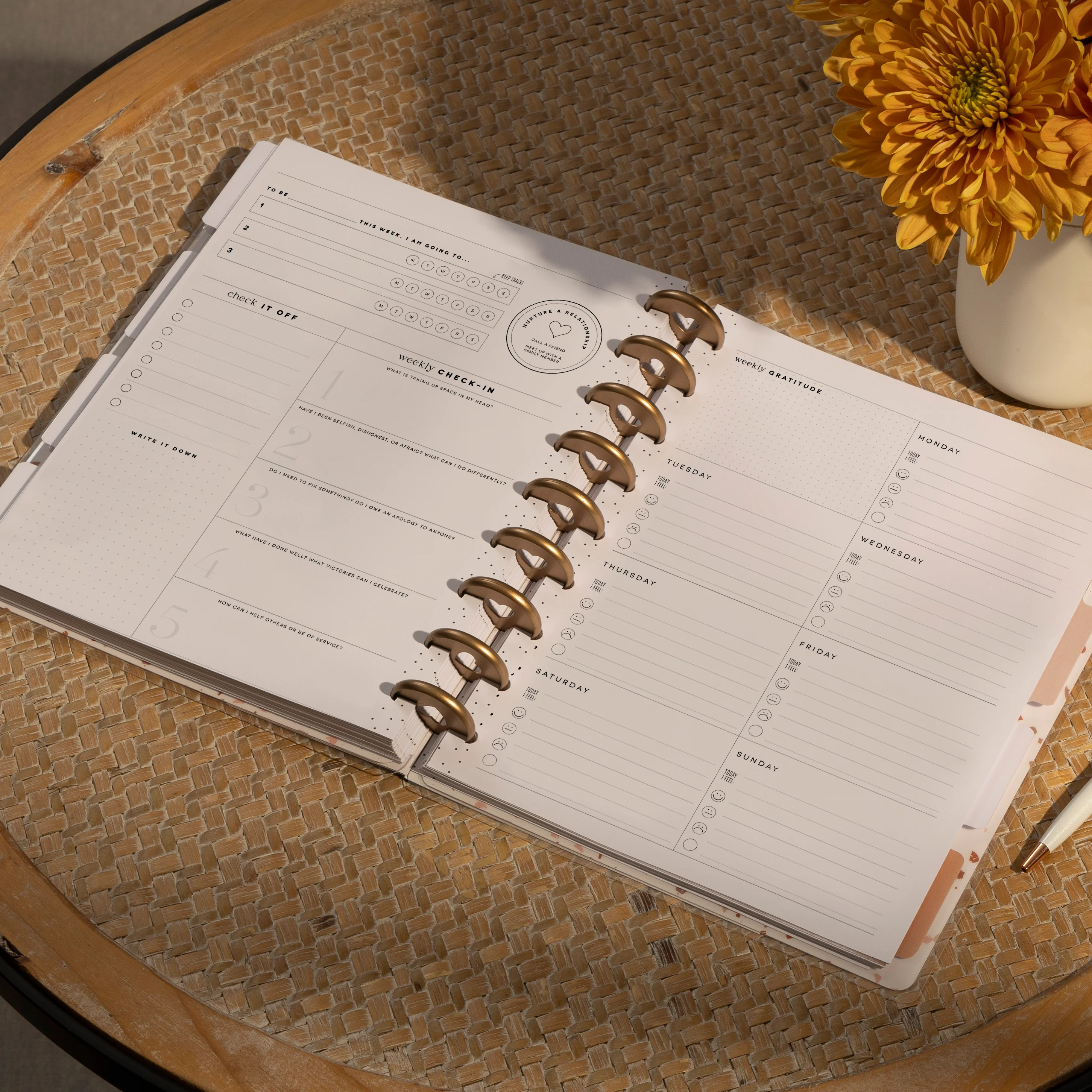Undated Sand & Stone Customizable Recovery Planner - Classic Recovery Layout - 12 Months 2 Undated Sand & Stone Customizable Recovery Planner - Classic Recovery Layout - 12 Months