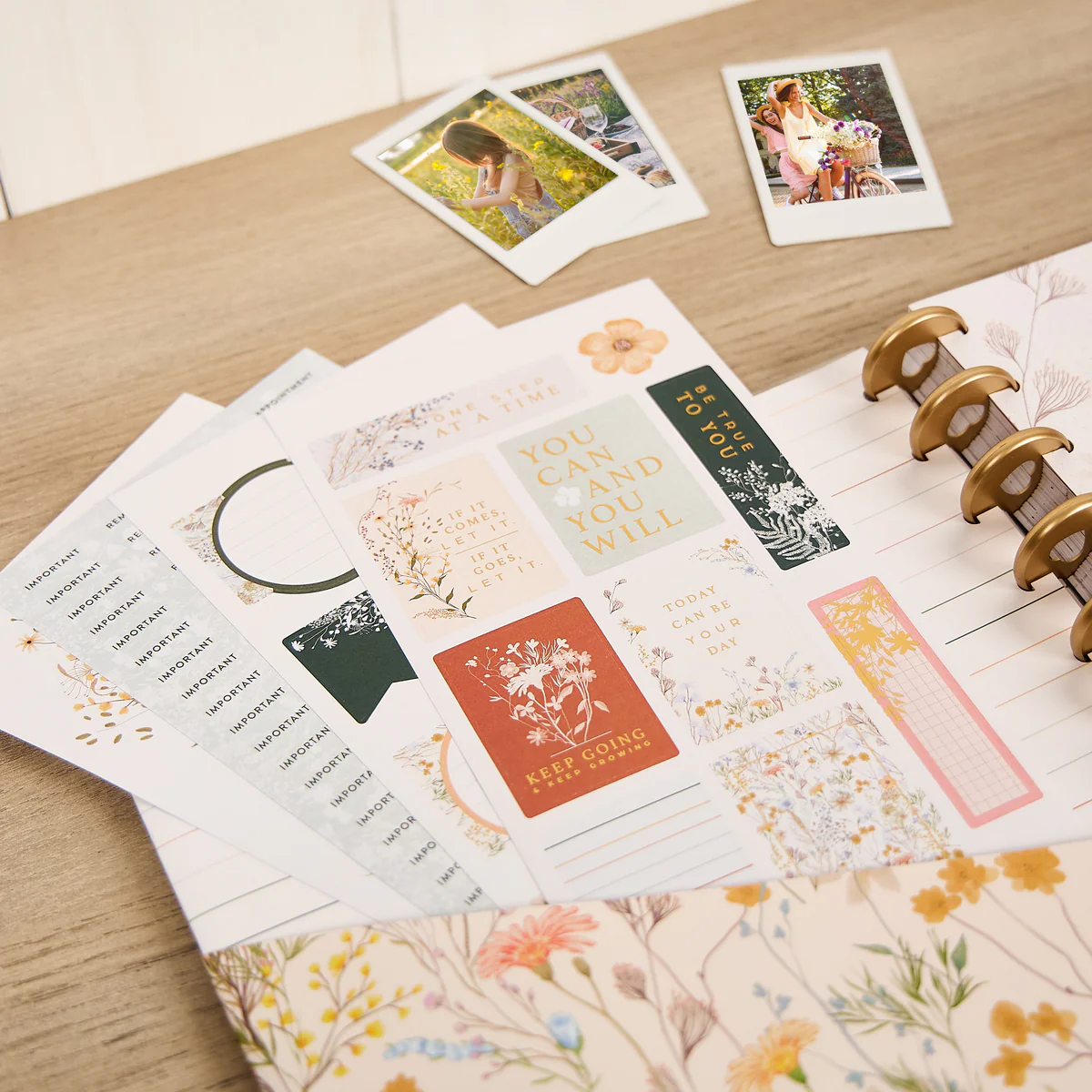 Spring Fields - Big Accessory Pack