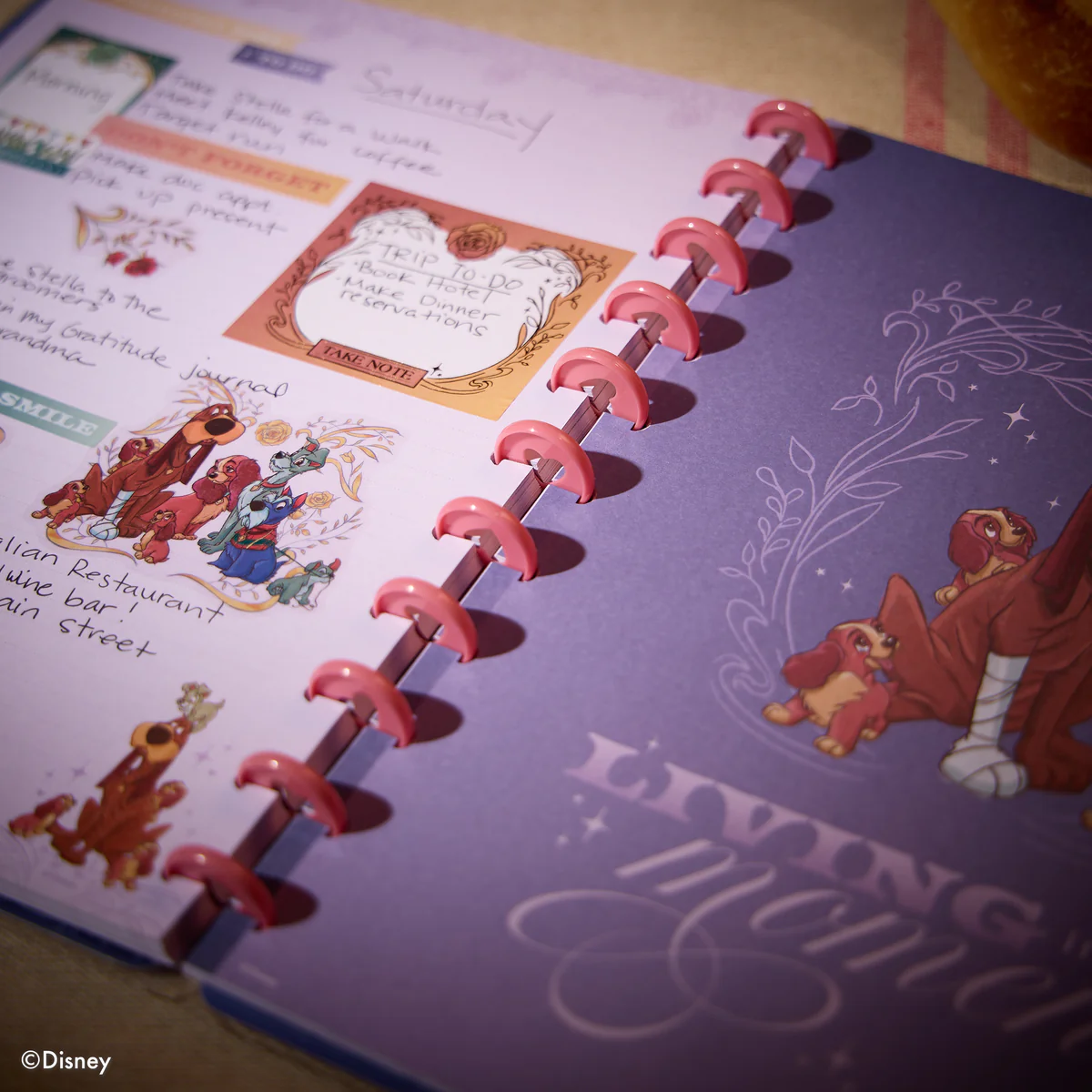 Disney Lady & The Tramp - Dotted Lined Big Notebook - 60 Sheets