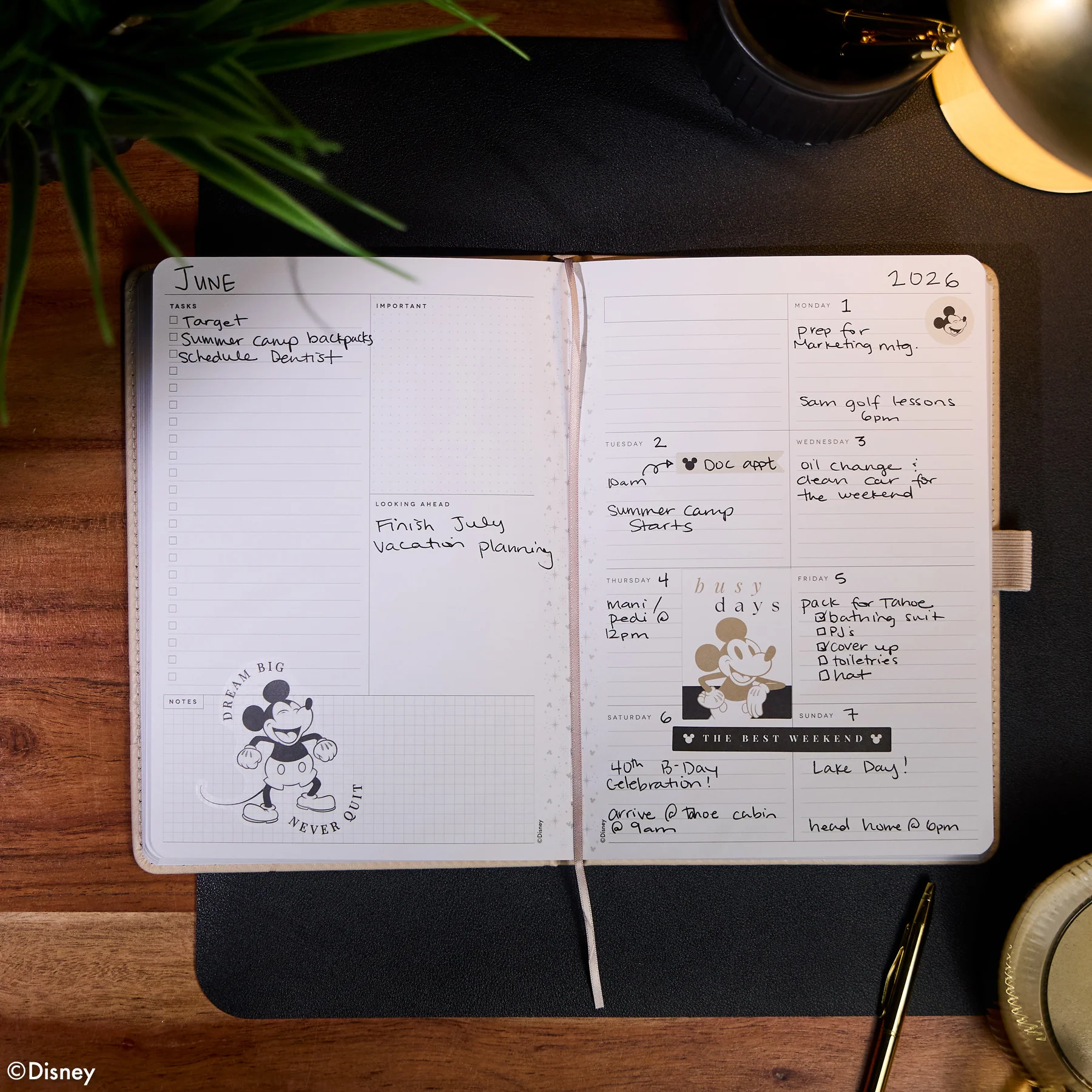 Undated Premium Ivory Disney Mickey Mouse Book Bound Planner - Small Dashboard Layout - 12 Months 5 Undated Premium Ivory Disney Mickey Mouse Book Bound Planner - Small Dashboard Layout - 12 Months