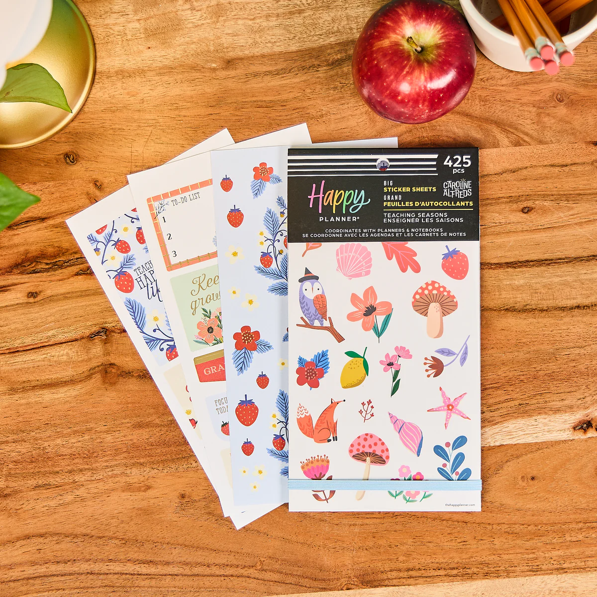 Teaching Seasons - Value Pack Stickers - Big 6 Teaching Seasons - Value Pack Stickers - Big