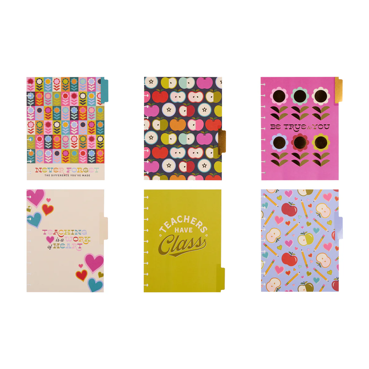 Mod Teacher - Classic Teacher Extension Pack - 6 Months 11 Mod Teacher - Classic Teacher Extension Pack - 6 Months