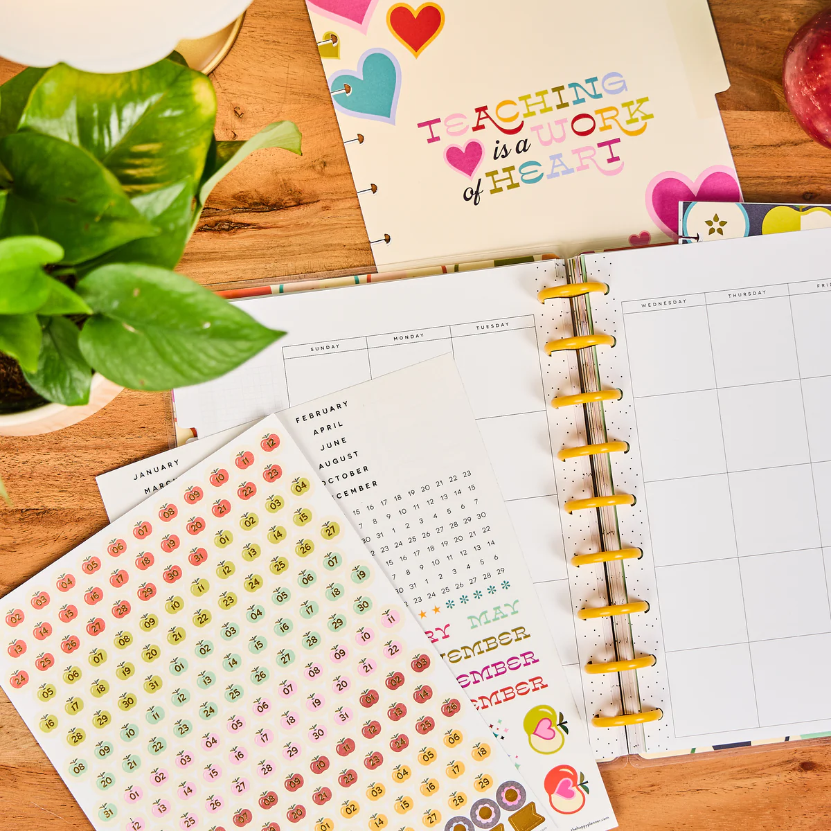Mod Teacher - Classic Teacher Extension Pack - 6 Months 6 Mod Teacher - Classic Teacher Extension Pack - 6 Months