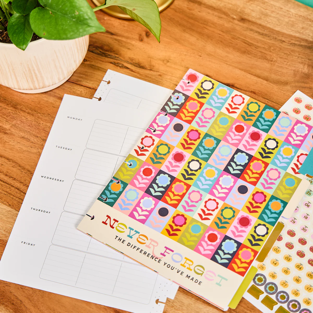 Mod Teacher - Classic Teacher Extension Pack - 6 Months 7 Mod Teacher - Classic Teacher Extension Pack - 6 Months