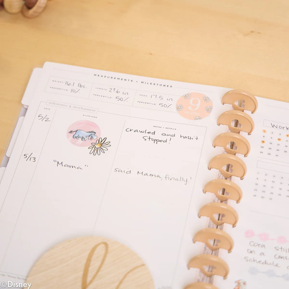 Undated Disney Winnie the Pooh Customizable Baby Planner - Classic Baby's First Year Layout - 12 Months 31 Undated Disney Winnie the Pooh Customizable Baby Planner - Classic Baby's First Year Layout - 12 Months