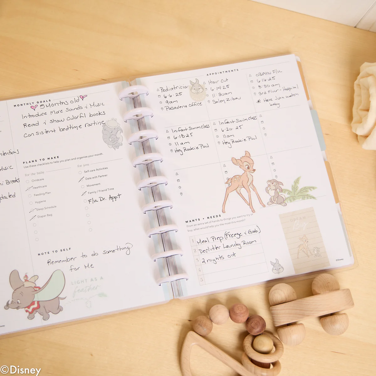 Undated Disney Welcome Little One Customizable Baby Planner - Classic Baby's First Year Layout - 12 Months