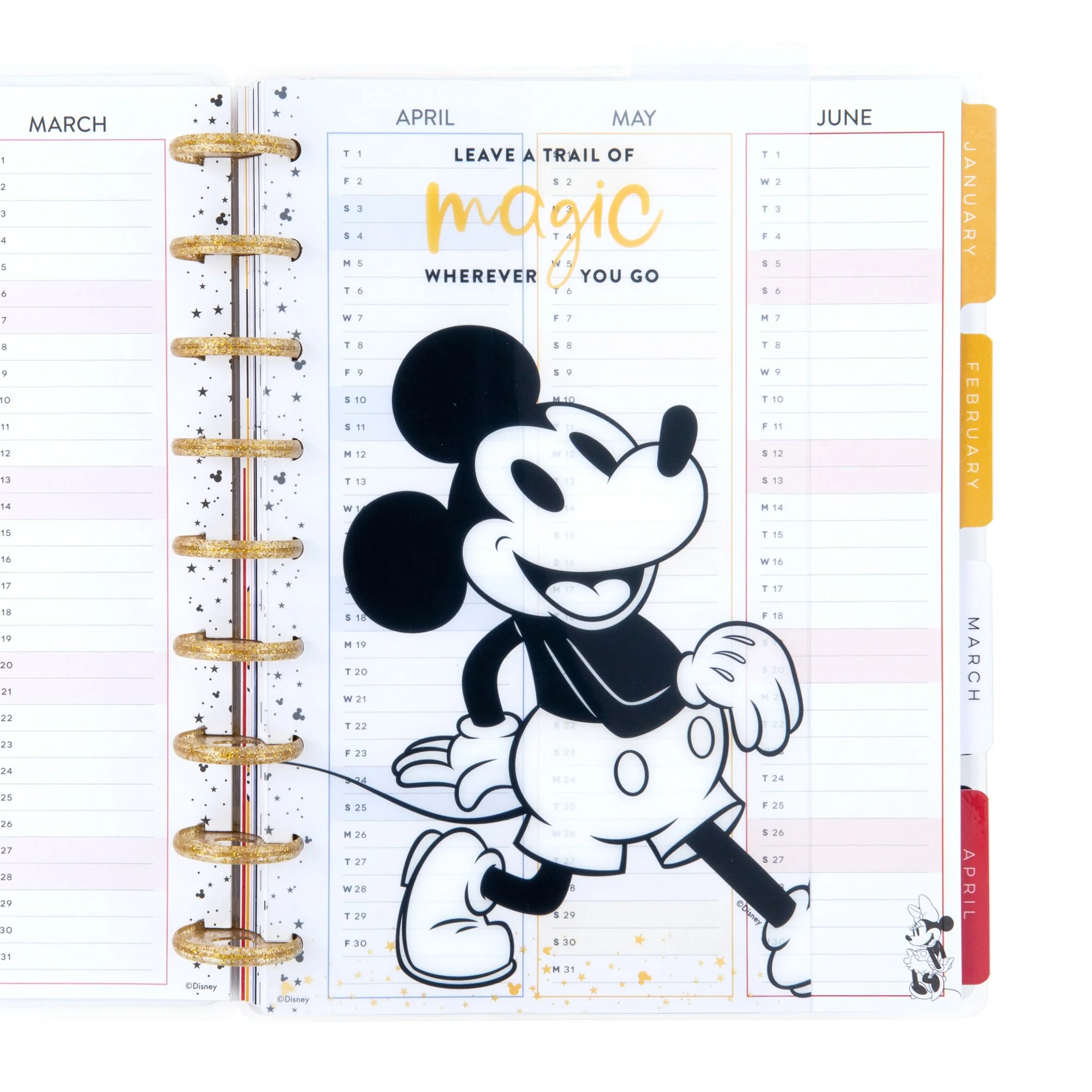Mickey and Minnie Classic Dashboards - Dreams Come True 4 Mickey and Minnie Classic Dashboards - Dreams Come True