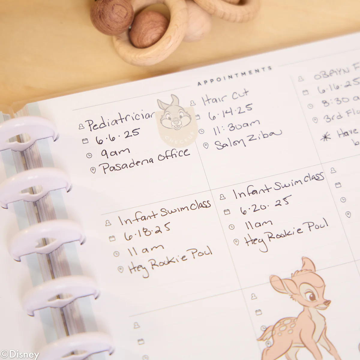 Undated Disney Welcome Little One Customizable Baby Planner - Classic Baby's First Year Layout - 12 Months 4 Undated Disney Welcome Little One Customizable Baby Planner - Classic Baby's First Year Layout - 12 Months