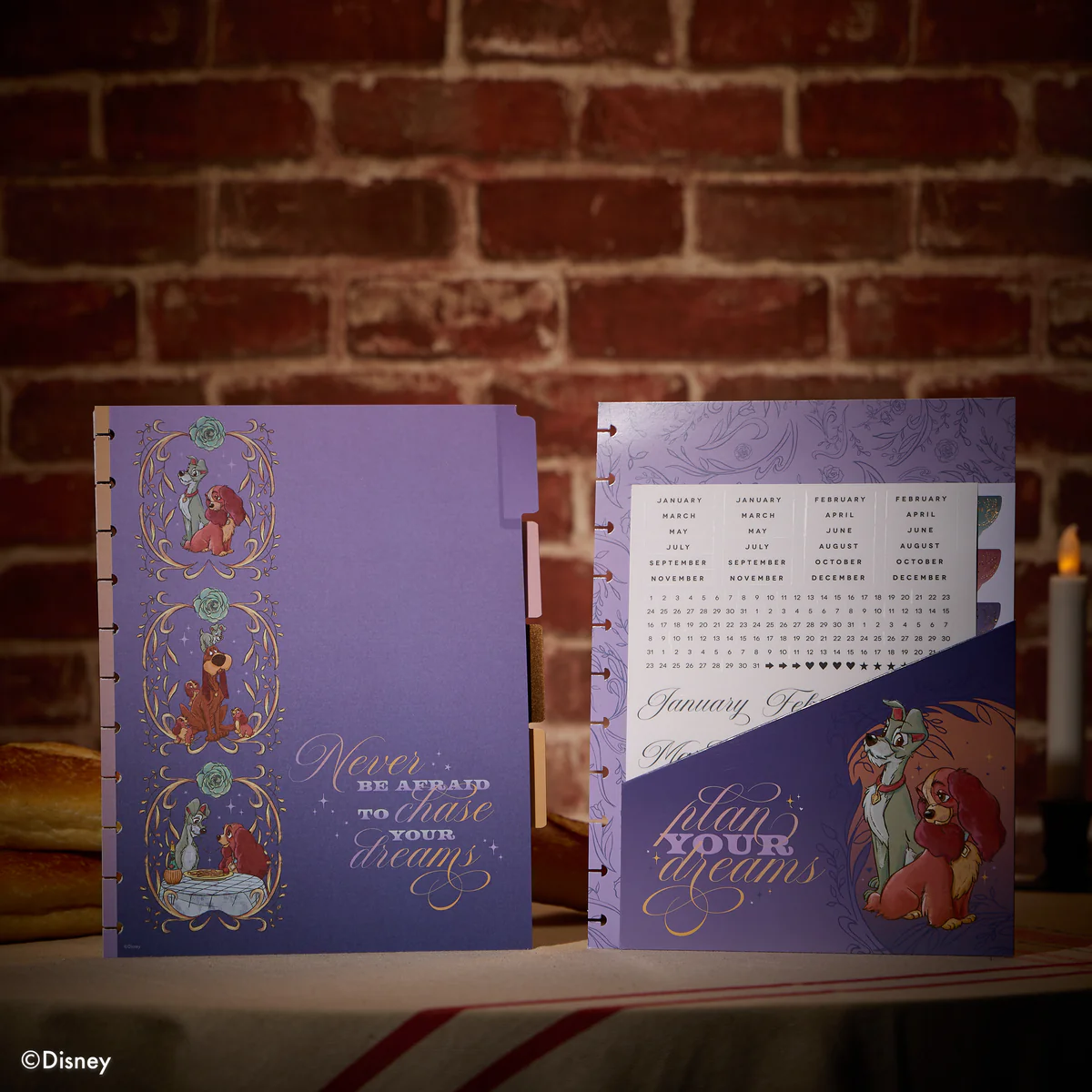Disney Lady & The Tramp - Big Dashboard Extension Pack - 4 Months