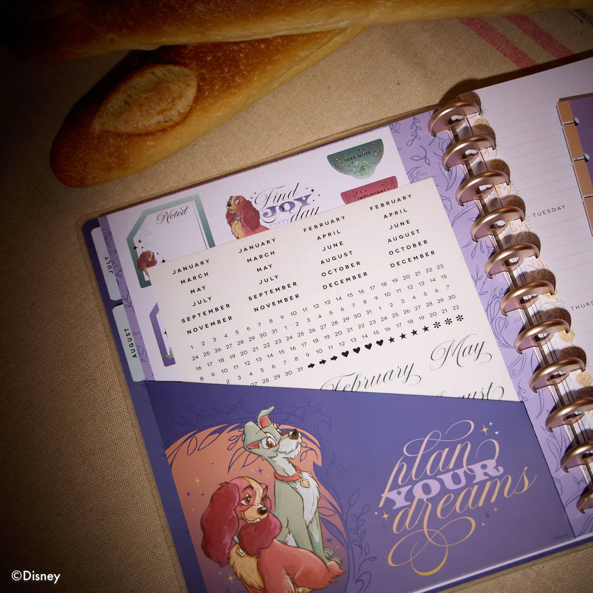 Disney Lady & The Tramp - Big Dashboard Extension Pack - 4 Months