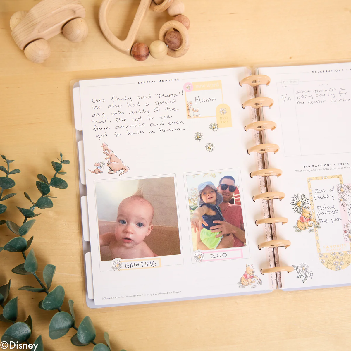 Undated Disney Winnie the Pooh Customizable Baby Planner -  Classic Baby's First Year Layout - 12 Months
