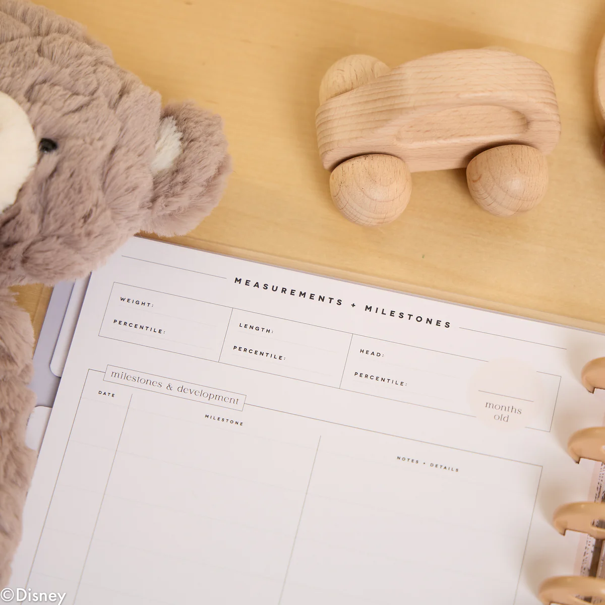 Undated Disney Winnie the Pooh Customizable Baby Planner - Classic Baby's First Year Layout - 12 Months 33 Undated Disney Winnie the Pooh Customizable Baby Planner - Classic Baby's First Year Layout - 12 Months