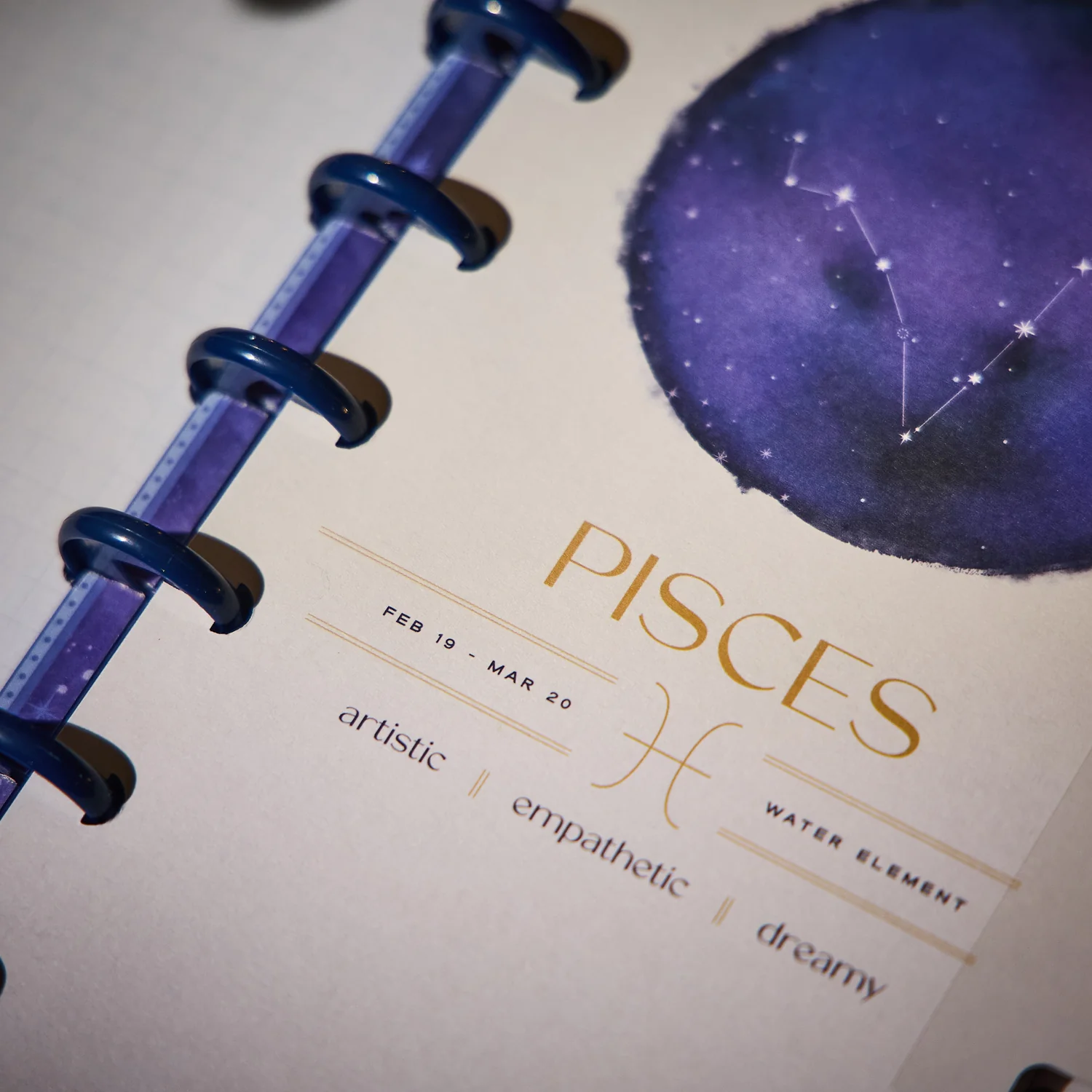 2026 Star Signs Customizable Planner - Skinny Classic Horizontal Layout - 12 Months